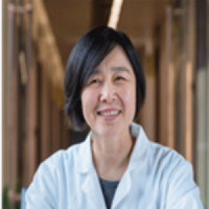 费小阳