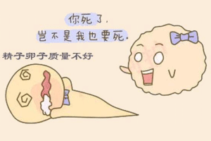 胚胎停育