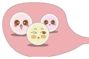取卵手术过程