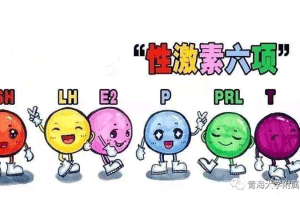 性激素六项