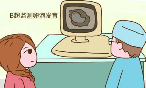 窦卵泡计数(AFC)