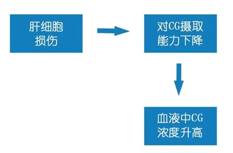 甘胆酸(CG)偏高