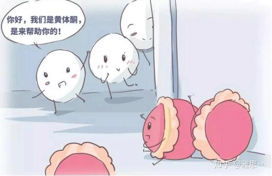 黄体功能不足