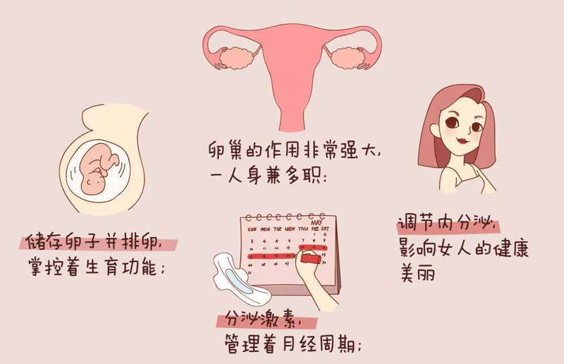 卵巢功能衰退