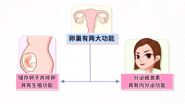 卵巢早衰(POF)
